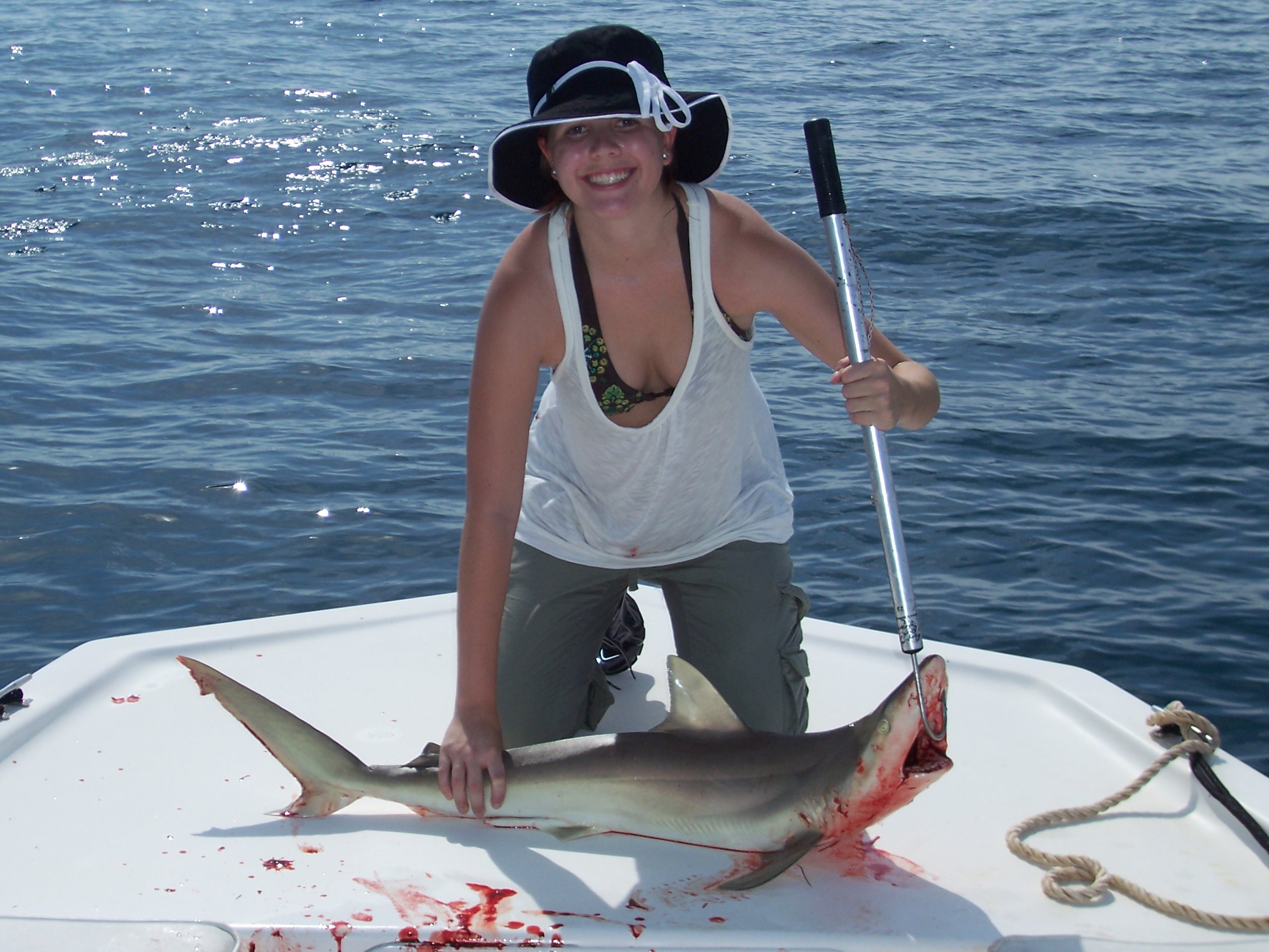 Sarasota Florida Fishing Charters Fishing Report 941320